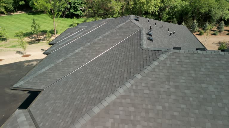 Best Rubber Roofing (EPDM, TPO)  in Alexandria, VA