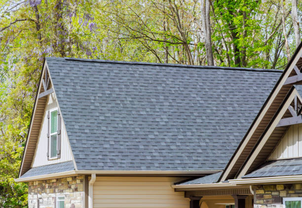 Best Roof Ventilation Installation  in Alexandria, VA