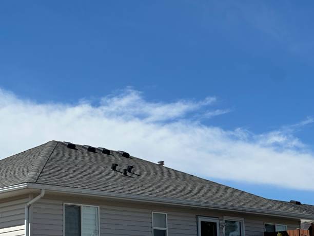 Reliable Alexandria, VA Roofing Service Solutions